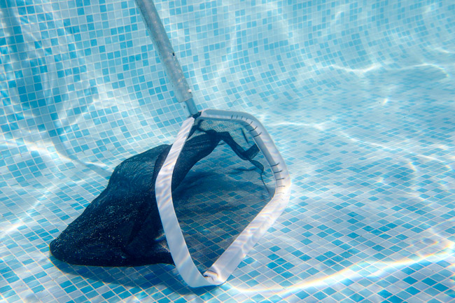 Epuisette de fond renforcée La Coopérative des Pisciniers